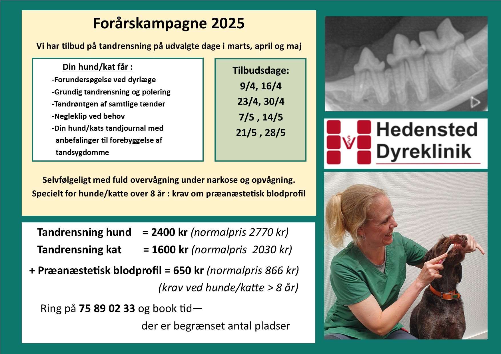 reklame tandtilbud maj 2025