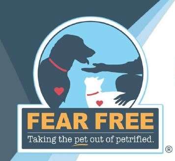 logo fearfree